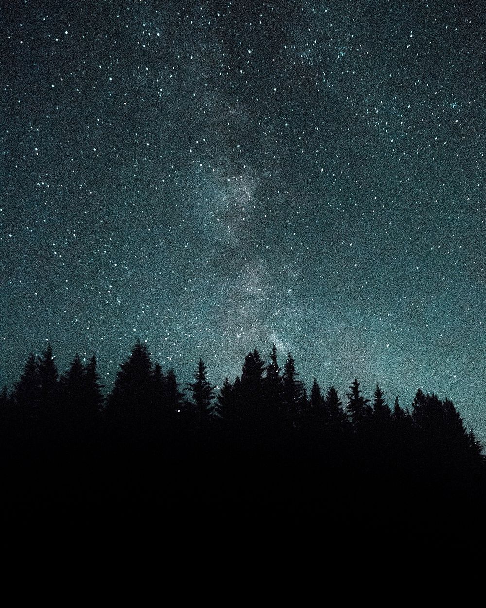 Free starry night, nature image, public domain scenery CC0 photo.
