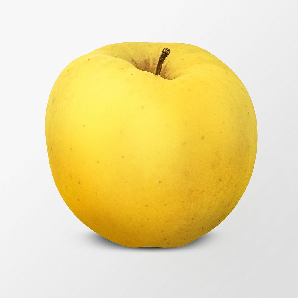 Yellow apple fruit clipart, golden delicious psd