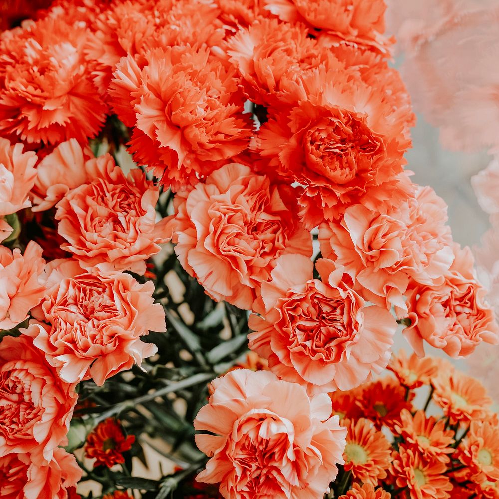 Bunches of orange flowers  in a flower shop