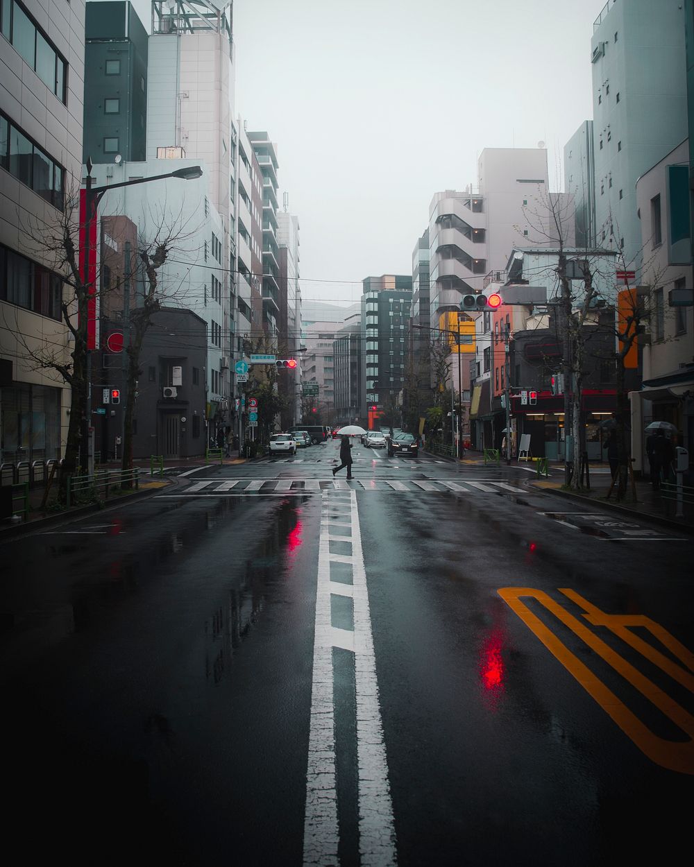 Rainy day in Tokyo, Japan
