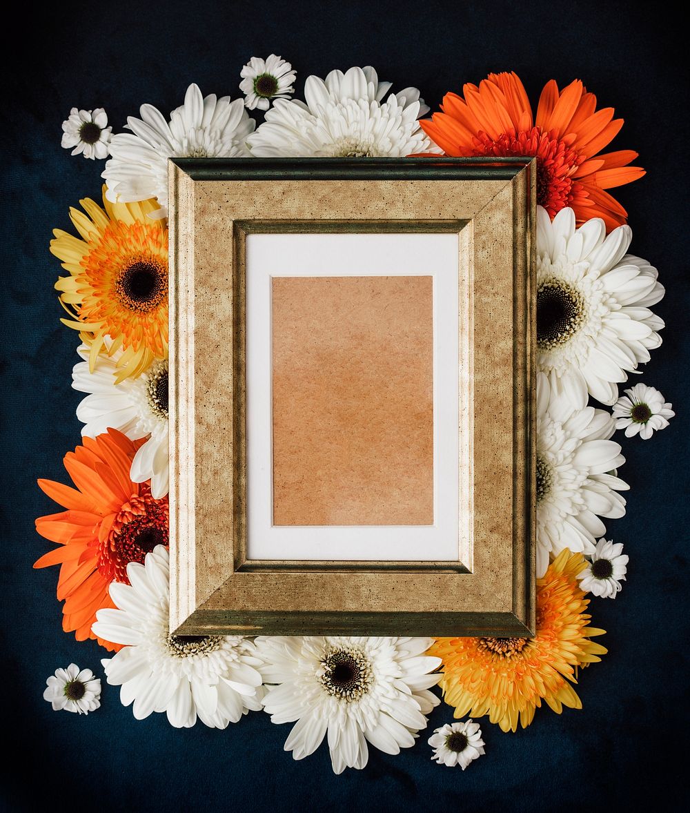 Blank wooden photo frame on fresh colorful daisies background