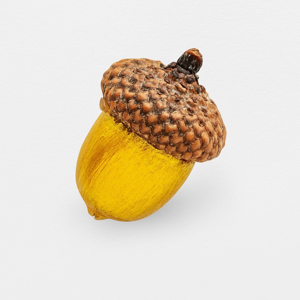 A gold acorn Christmas ornament isolated on gray background