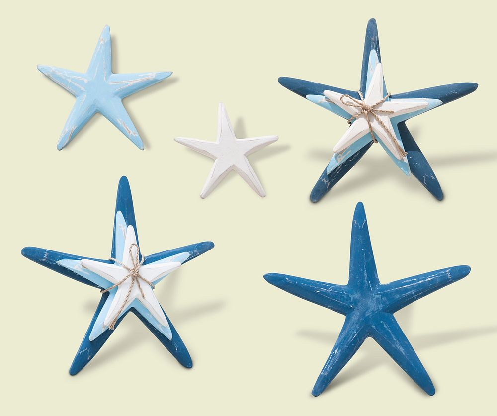 Blue starfish illustrations