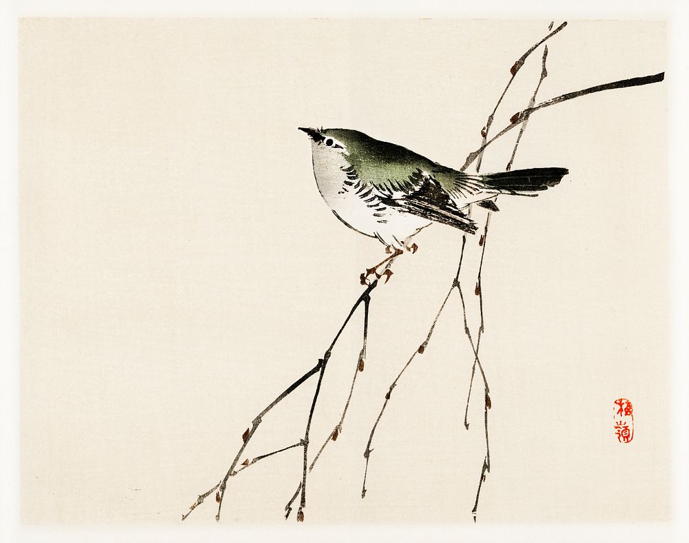 Tit by Kōno Bairei (1844-1895). Digitally enhanced from our own original 1913 edition of Bairei Gakan. 