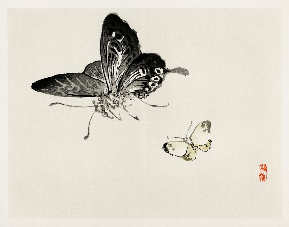 Butterflies by Kōno Bairei (1844-1895). Digitally enhanced from our own original 1913 edition of Bairei Gakan. 