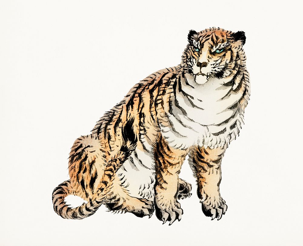 Vintage Illustration of Tiger.