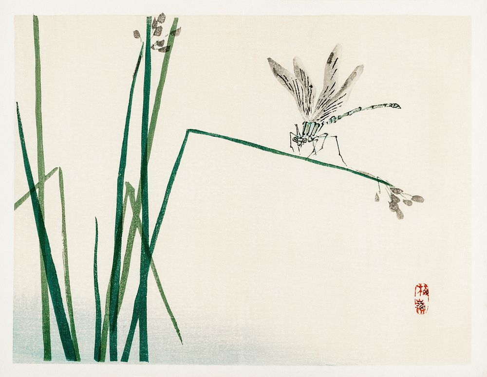 Dragonfly on Bulrush leaf by Kōno Bairei (1844-1895). Digitally enhanced from our own original 1913 edition of Bairei Gakan. 
