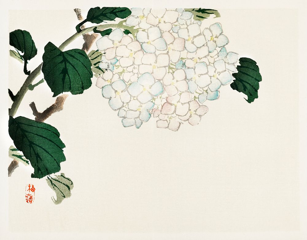Hydrangea by Kōno Bairei (1844-1895). Digitally enhanced from our own original 1913 edition of Bairei Gakan. 