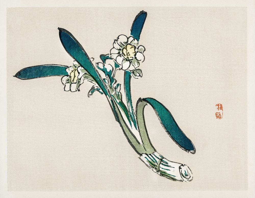 Bunchflower Daffodil by Kōno Bairei (1844-1895). Digitally enhanced from our own original 1913 edition of Bairei Gakan. 