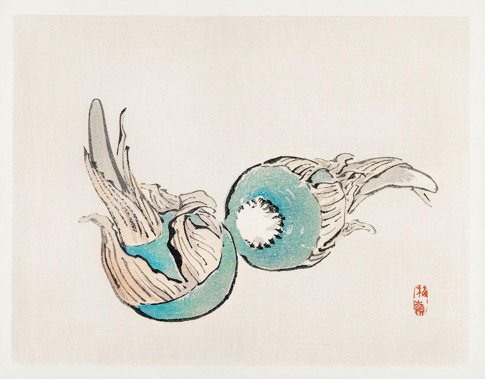 Kuwai Bulbs by Kōno Bairei (1844-1895). Digitally enhanced from our own original 1913 edition of Bairei Gakan. 