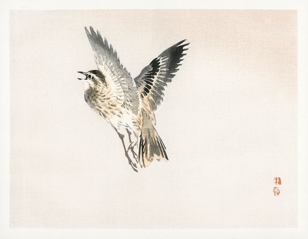 Sparrow by Kōno Bairei (1844-1895). Digitally enhanced from our own original 1913 edition of Bairei Gakan. 