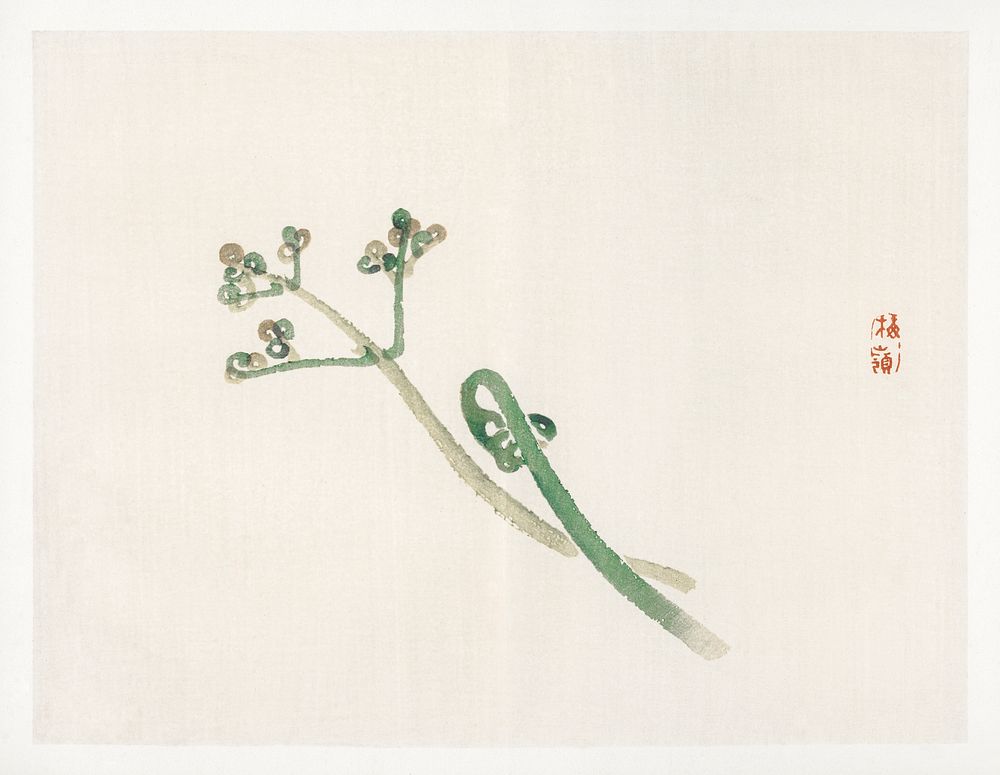 Blossom by Kōno Bairei (1844-1895). Digitally enhanced from our own original 1913 edition of Bairei Gakan. 