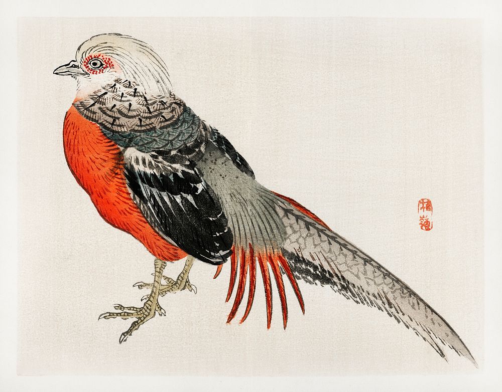 Japanese pheasant by Kōno Bairei (1844-1895). Digitally enhanced from our own original 1913 edition of Bairei Gakan. 