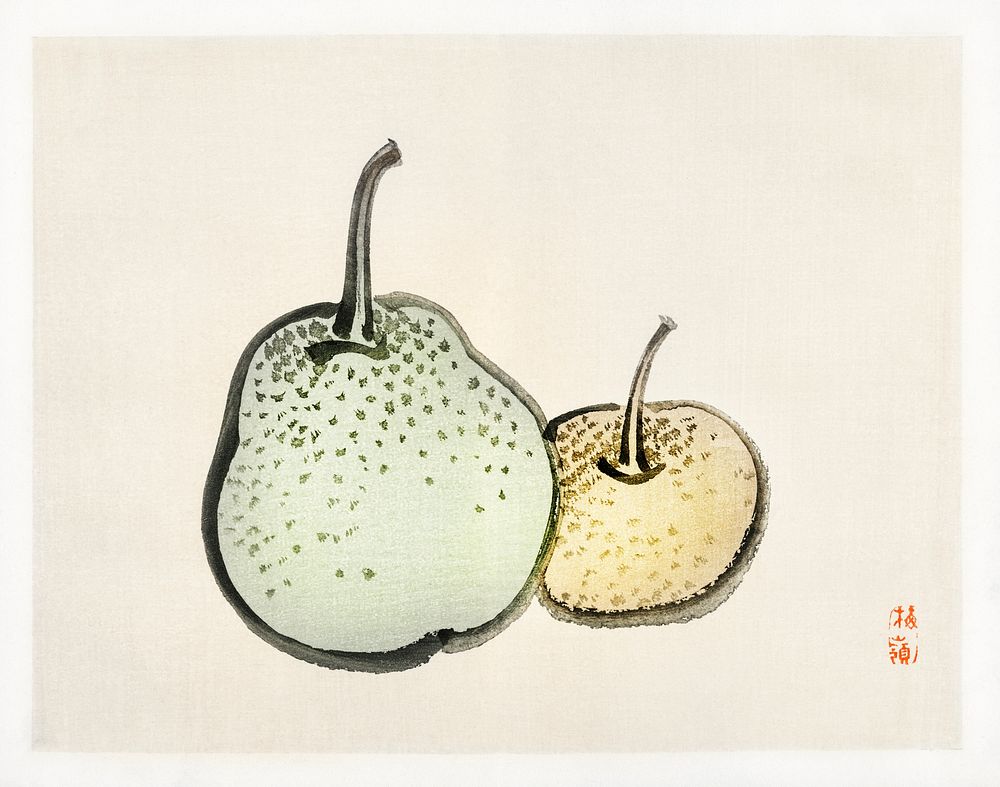 Asian pears by Kōno Bairei (1844-1895). Digitally enhanced from our own original 1913 edition of Bairei Gakan. 