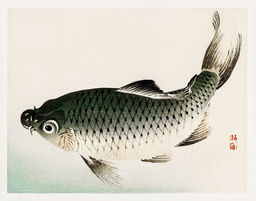 Carp by Kōno Bairei (1844-1895). Digitally enhanced from our own original 1913 edition of Bairei Gakan. 