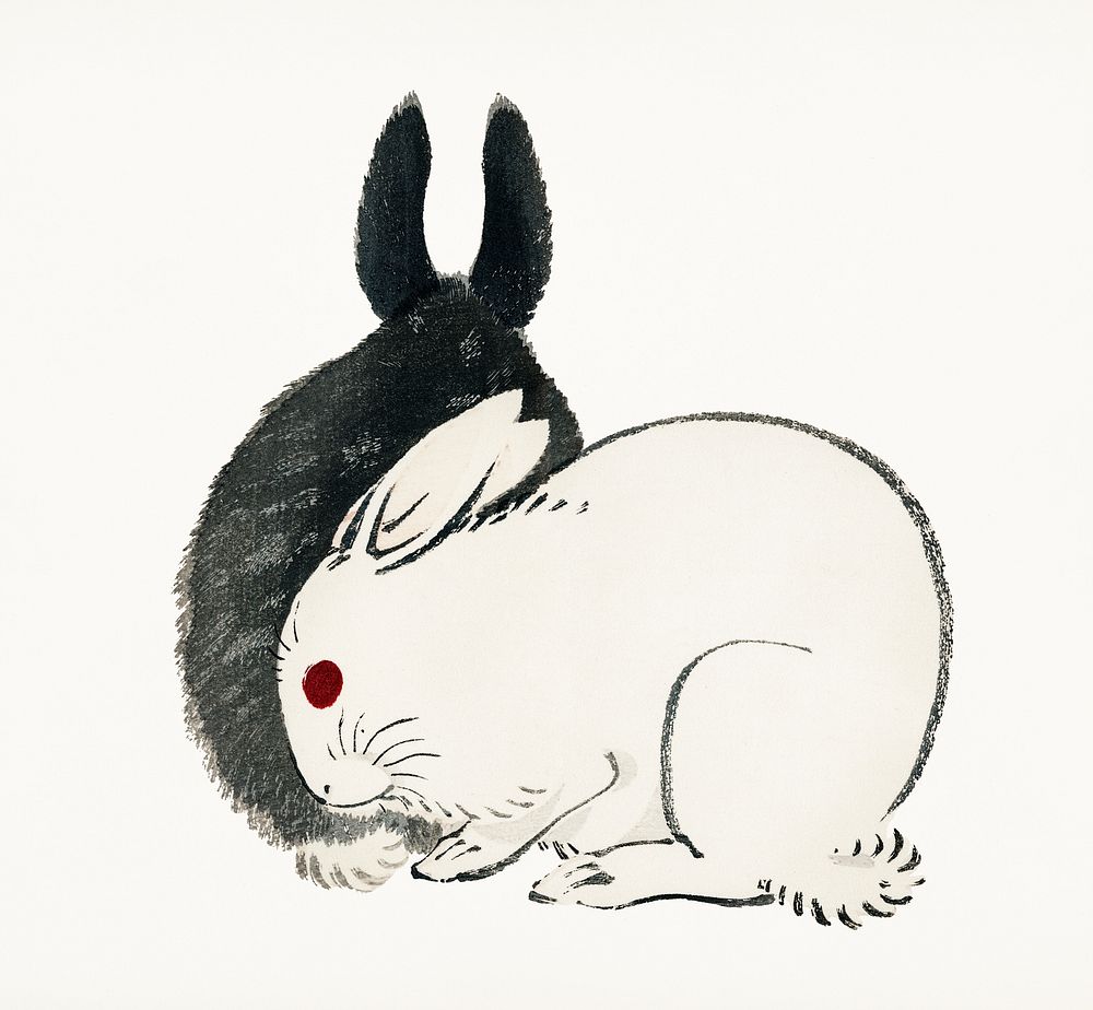Vintage Illustration of Black and white rabbits.