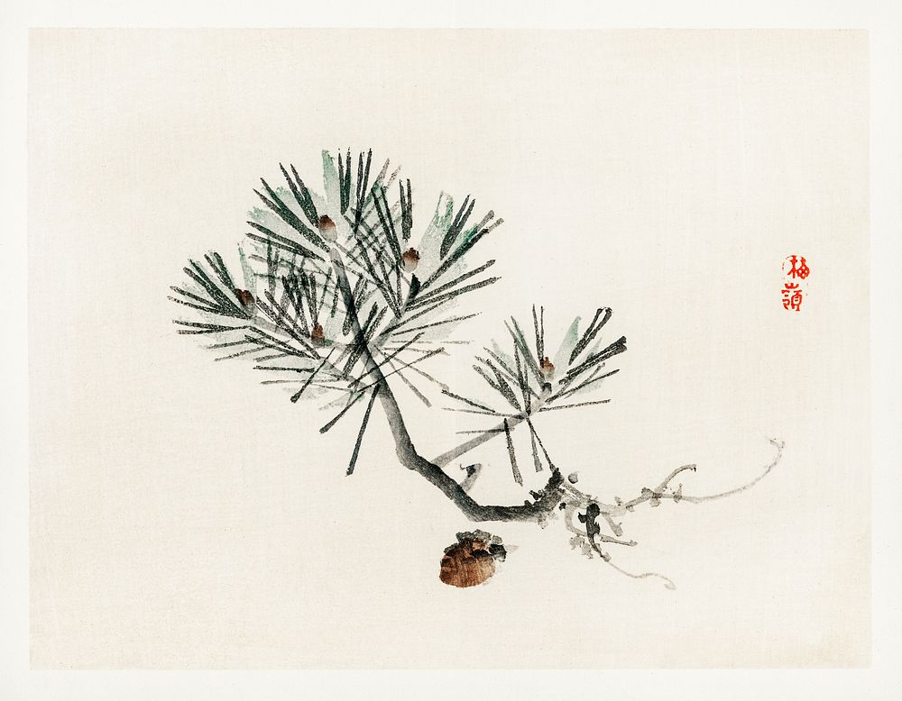 Pine by Kōno Bairei (1844-1895). Digitally enhanced from our own original 1913 edition of Barei Gakan. 