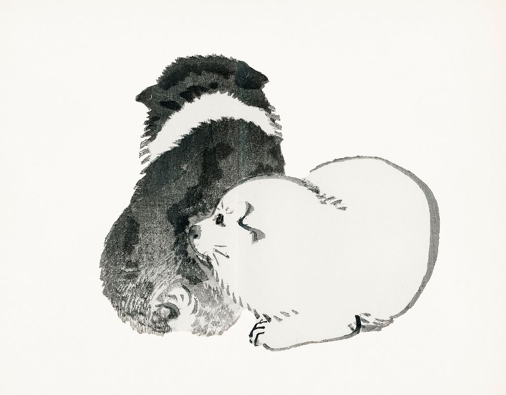 Vintage Illustration of Black and white puppies.