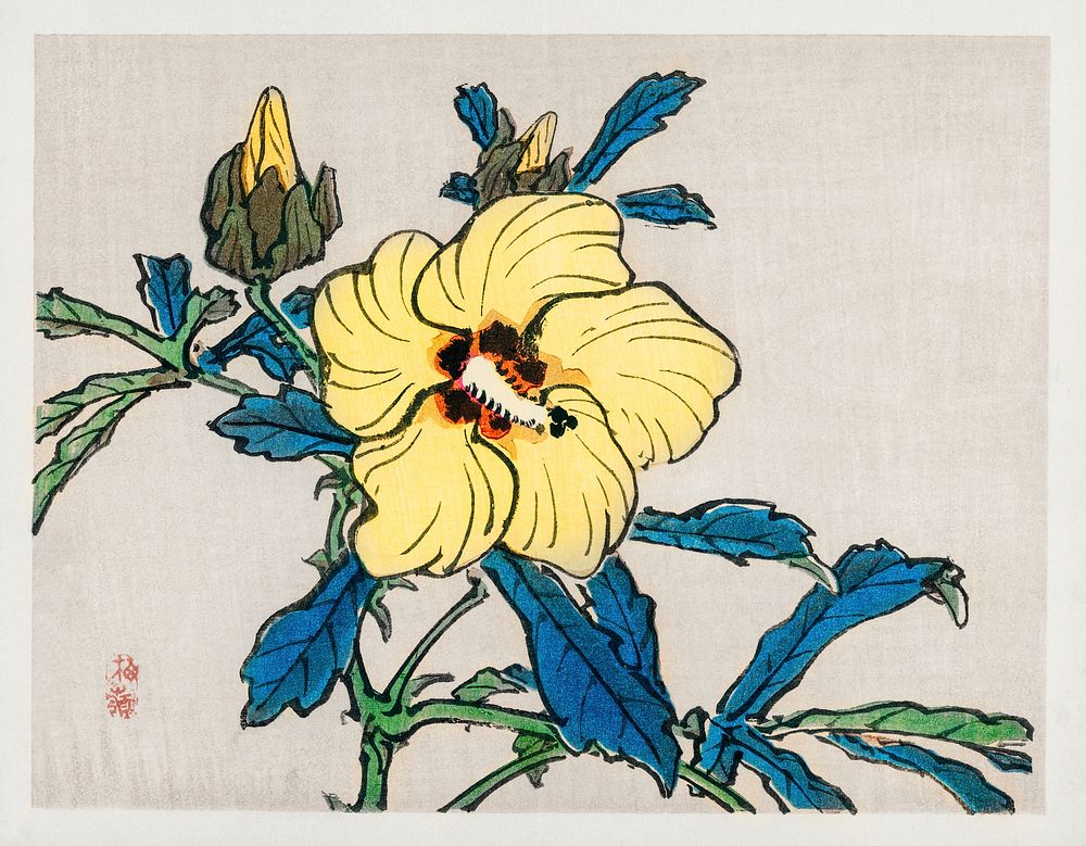 Hibiscus by Kōno Bairei (1844-1895). Digitally enhanced from our own original 1913 edition of Barei Gakan. 
