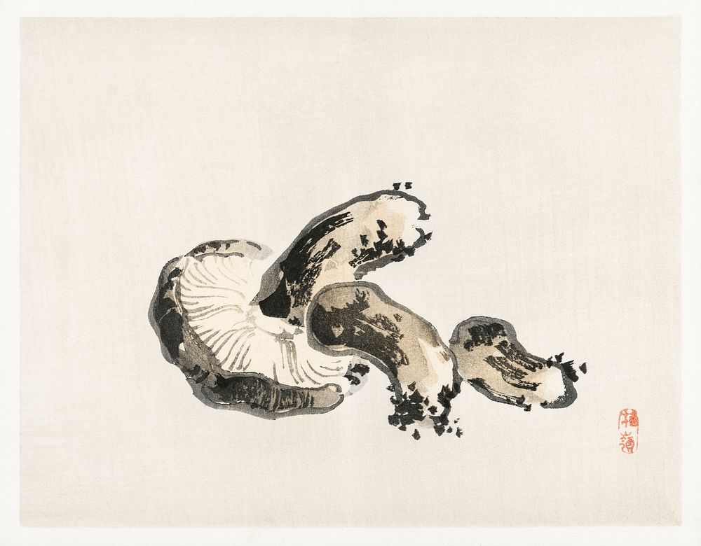 Shitake mushroom by Kōno Bairei (1844-1895). Digitally enhanced from our own original 1913 edition of Barei Gakan. 