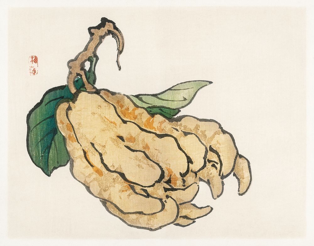 Etrog by Kōno Bairei (1844-1895). Digitally enhanced from our own original 1913 edition of Barei Gakan. 