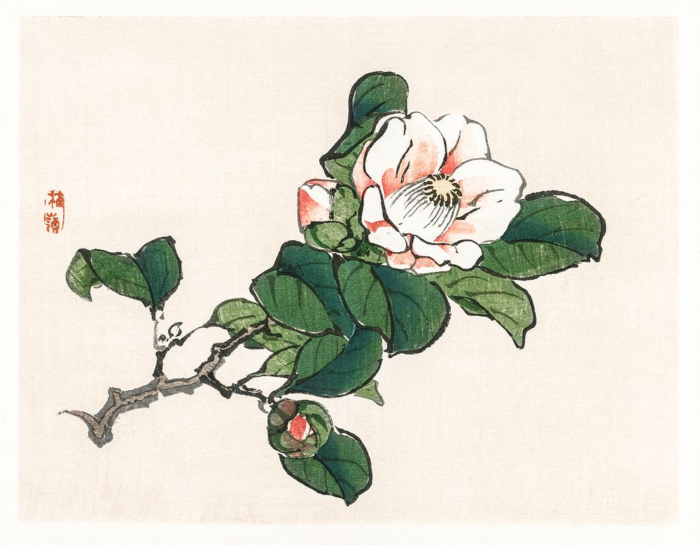 Camelia by Kōno Bairei (1844-1895) Digitally enhanced from our own original 1913 edition. 