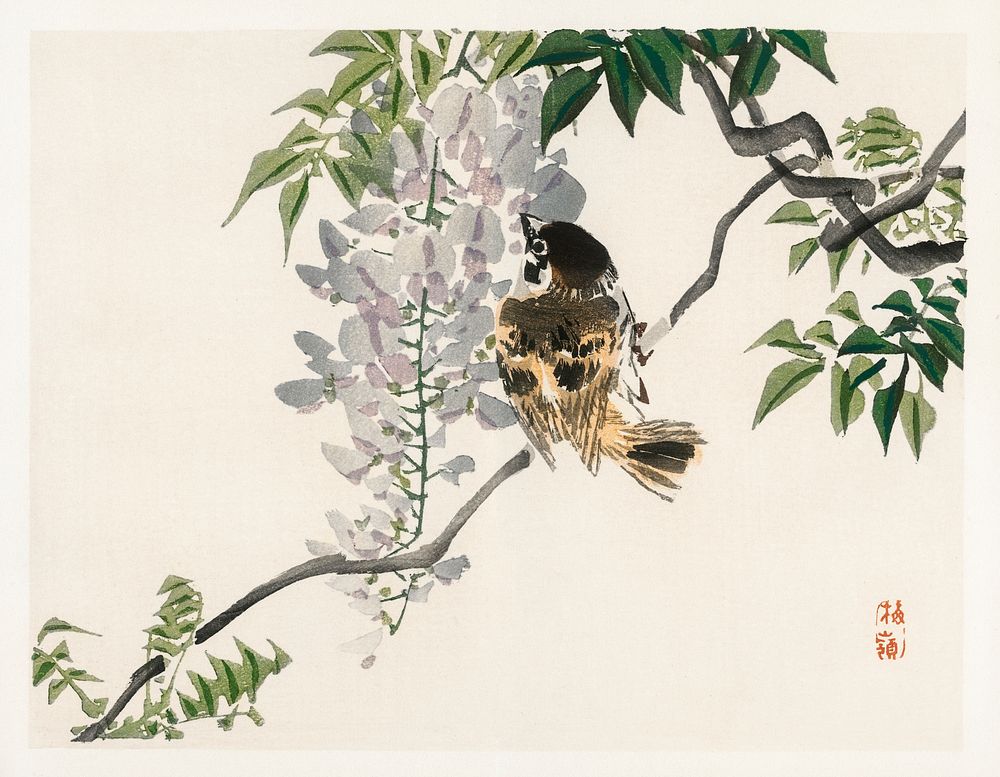 Sparrow on a branch by Kōno Bairei (1844-1895). Digitally enhanced from our own original 1913 edition of Barei Gakan. 