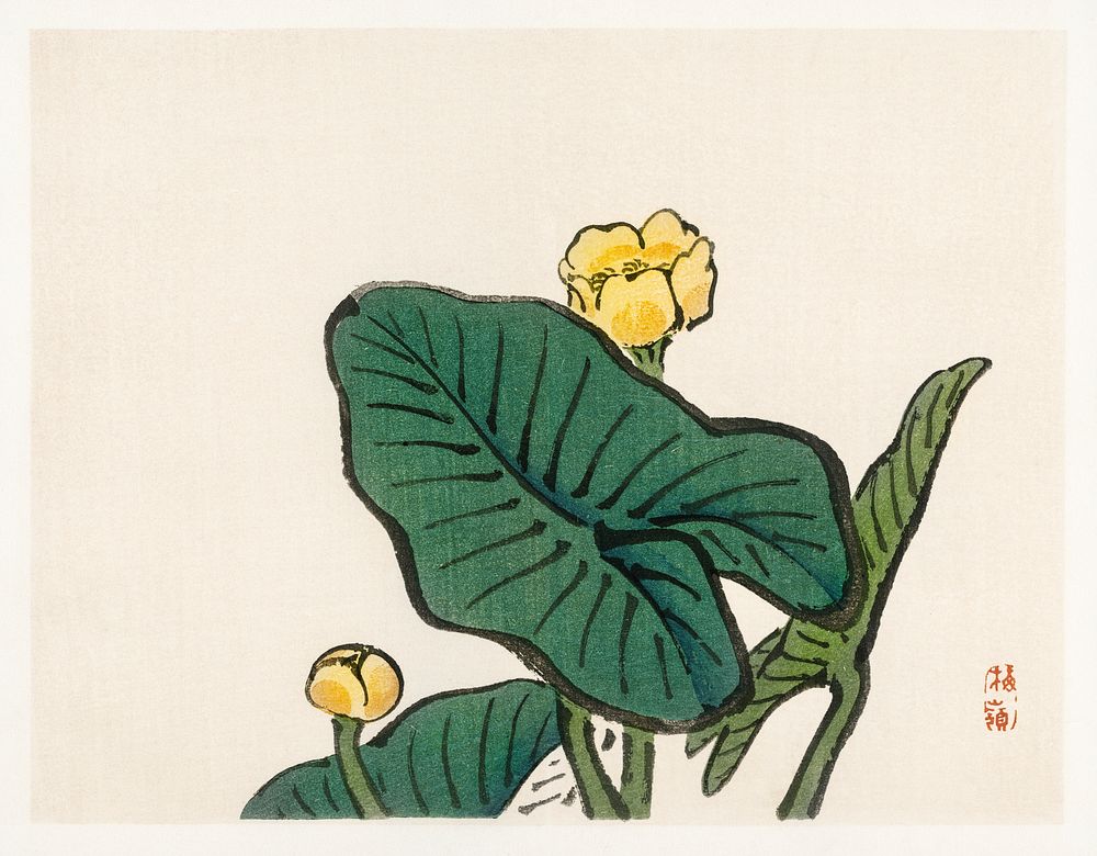 Water-lily by Kōno Bairei (1844-1895). Digitally enhanced from our own original 1913 edition of Barei Gakan. 