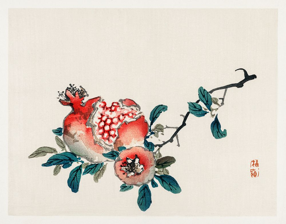 Pomegranate by Kōno Bairei (1844-1895). Digitally enhanced from our own original 1913 edition of Barei Gakan. 