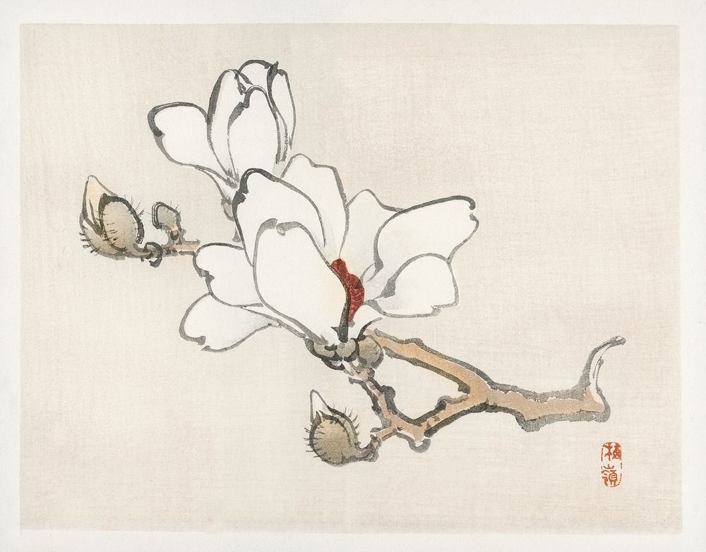 Magnolia by Kōno Bairei (1844-1895). Digitally enhanced from our own original 1913 edition of Barei Gakan. 