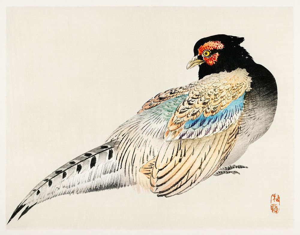 Peregrine falcon by Kōno Bairei (1844-1895). Digitally enhanced from our own original 1913 edition of Barei Gakan. 
