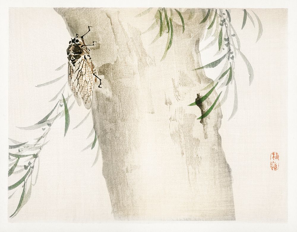 Insect by Kōno Bairei (1844-1895). Digitally enhanced from our own original 1913 edition of Barei Gakan. 