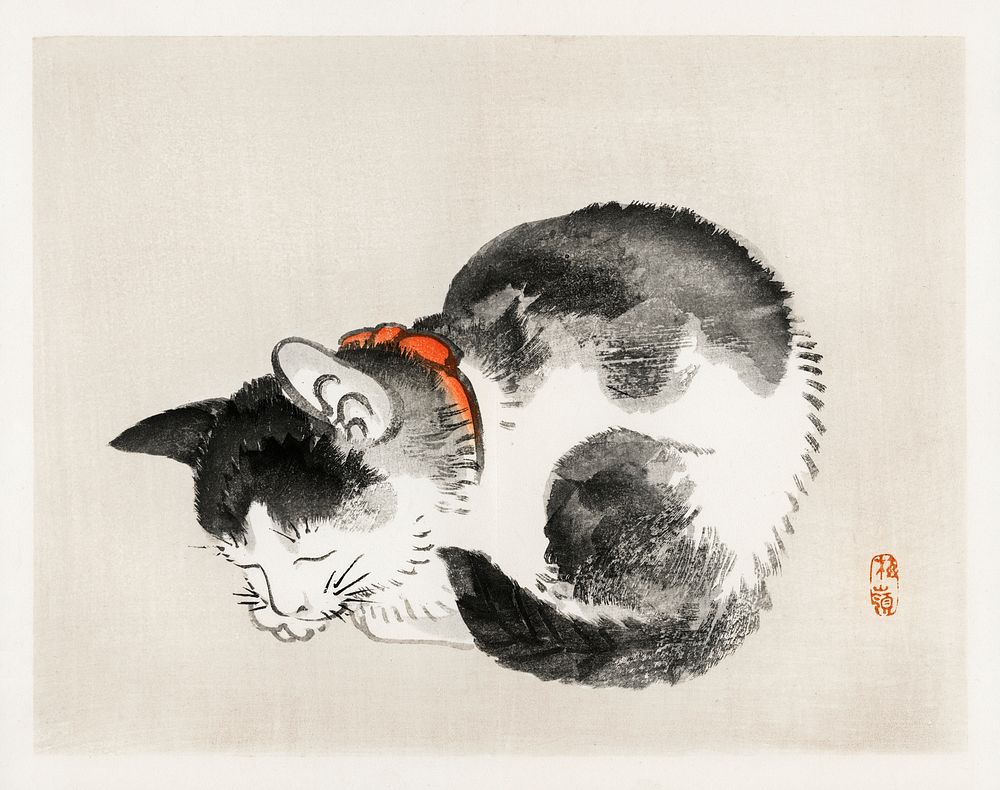 Sleeping cat by Kōno Bairei (1844-1895). Digitally enhanced from our own original 1913 edition of Barei Gakan. 
