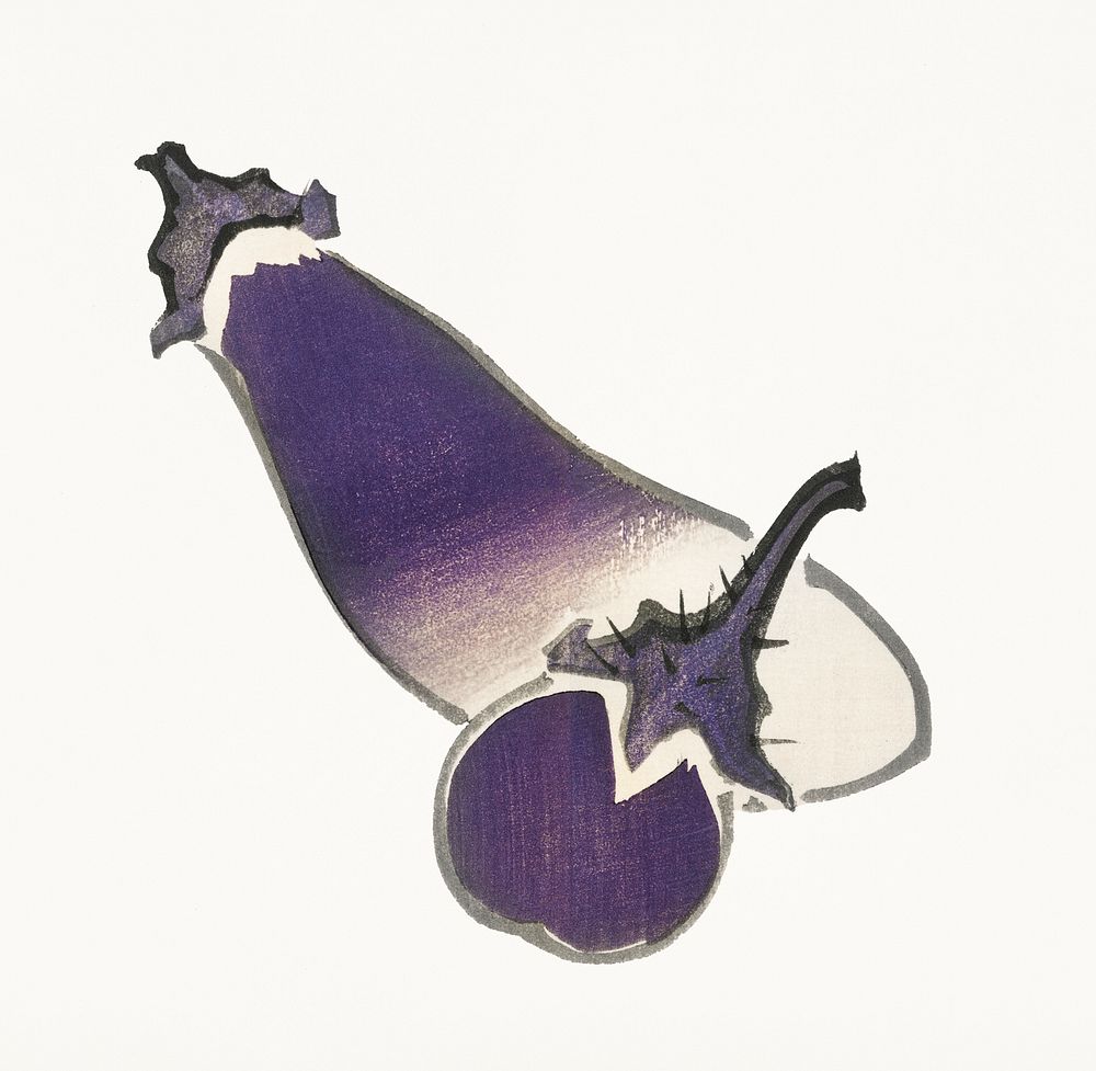 Vintage Illustration of Eggplant and long eggplant.