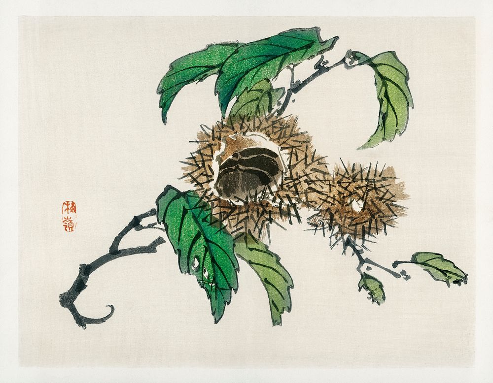 Chestnut by Kōno Bairei (1844-1895). Digitally enhanced from our own original 1913 edition of Barei Gakan. 