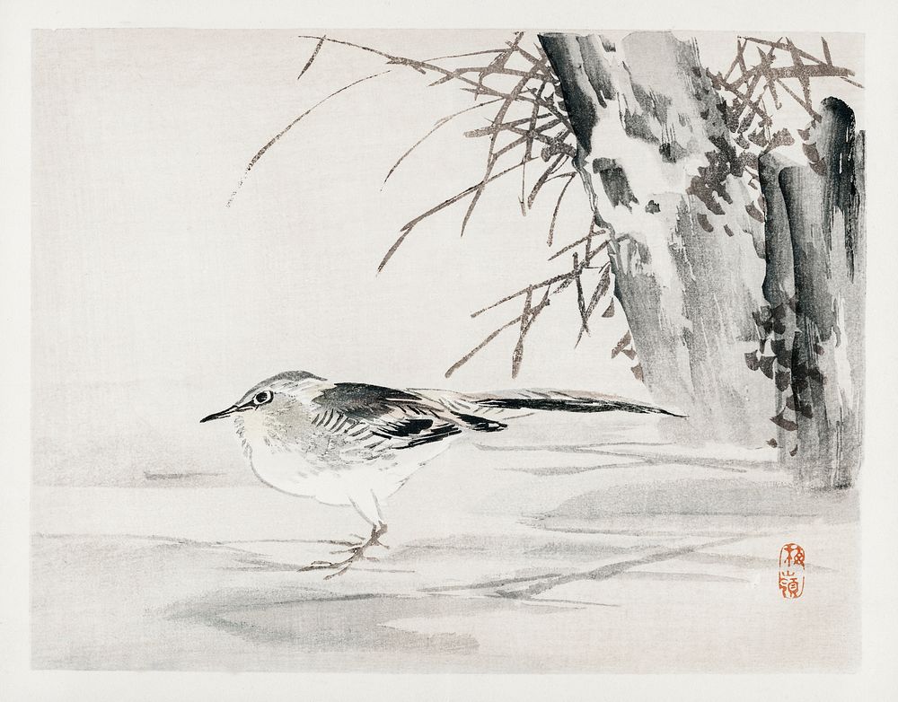 Spotted sandpiper by Kōno Bairei (1844-1895). Digitally enhanced from our own original 1913 edition of Barei Gakan. 
