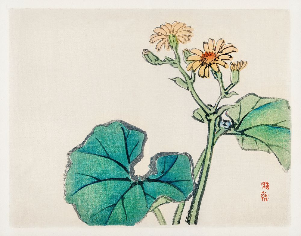 Leopard plant by Kōno Bairei (1844-1895). Digitally enhanced from our own original 1913 edition of Barei Gakan. 