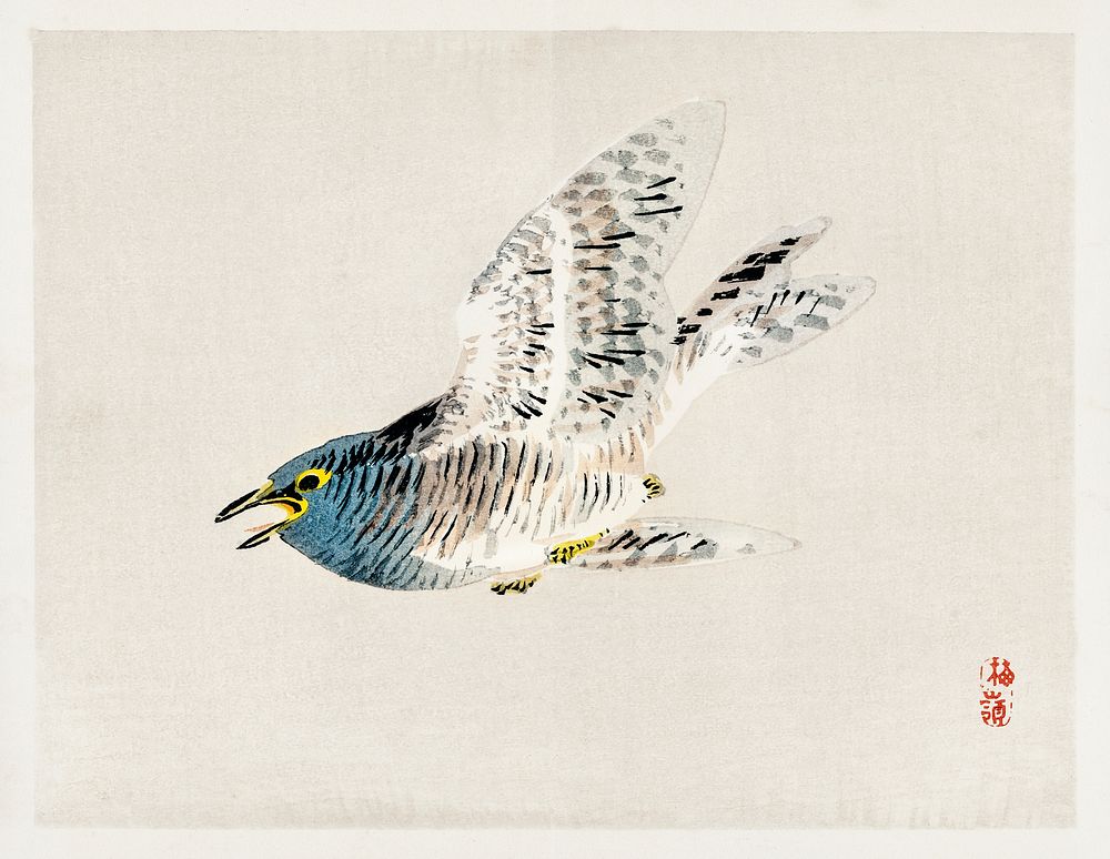 European herring gull by Kōno Bairei (1844-1895). Digitally enhanced from our own original 1913 edition of Barei Gakan. 