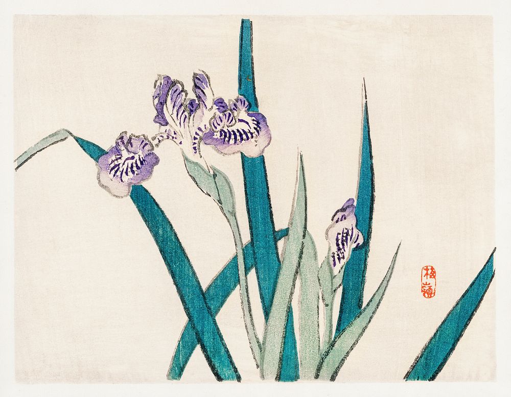 Irises by Kōno Bairei (1844-1895). Digitally enhanced from our own original 1913 edition of Barei Gakan. 