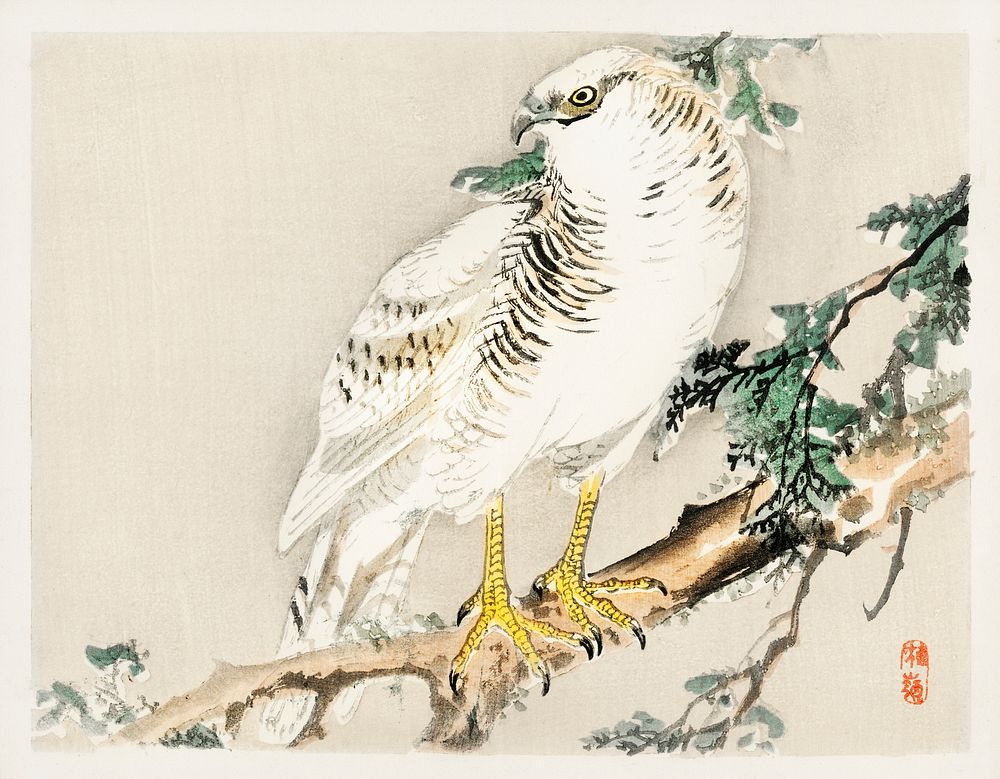 Northern mockingbird by Kōno Bairei (1844-1895). Digitally enhanced from our own original 1913 edition of Barei Gakan. 
