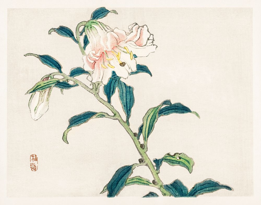 Lily by Kōno Bairei (1844-1895). Digitally enhanced from our own original 1913 edition of Barei Gakan. 
