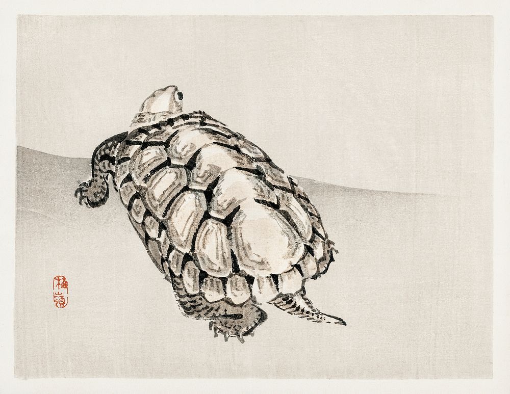 Turtle by Kōno Bairei (1844-1895). Digitally enhanced from our own original 1913 edition of Barei Gakan. 
