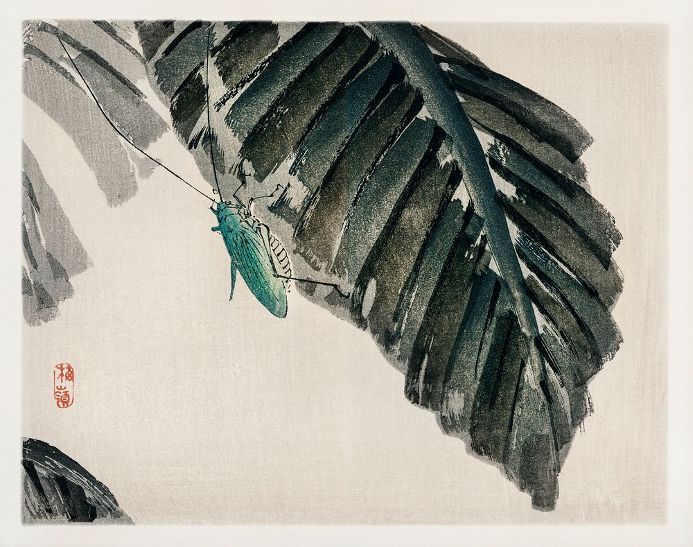 Insect on leaves by Kōno Bairei (1844-1895). Digitally enhanced from our own original 1913 edition of Barei Gakan. 