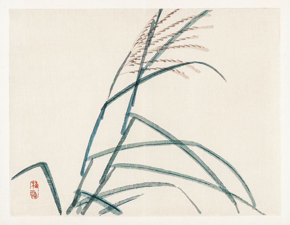 Poaceae by Kōno Bairei (1844-1895). Digitally enhanced from our own original 1913 edition of Barei Gakan. 