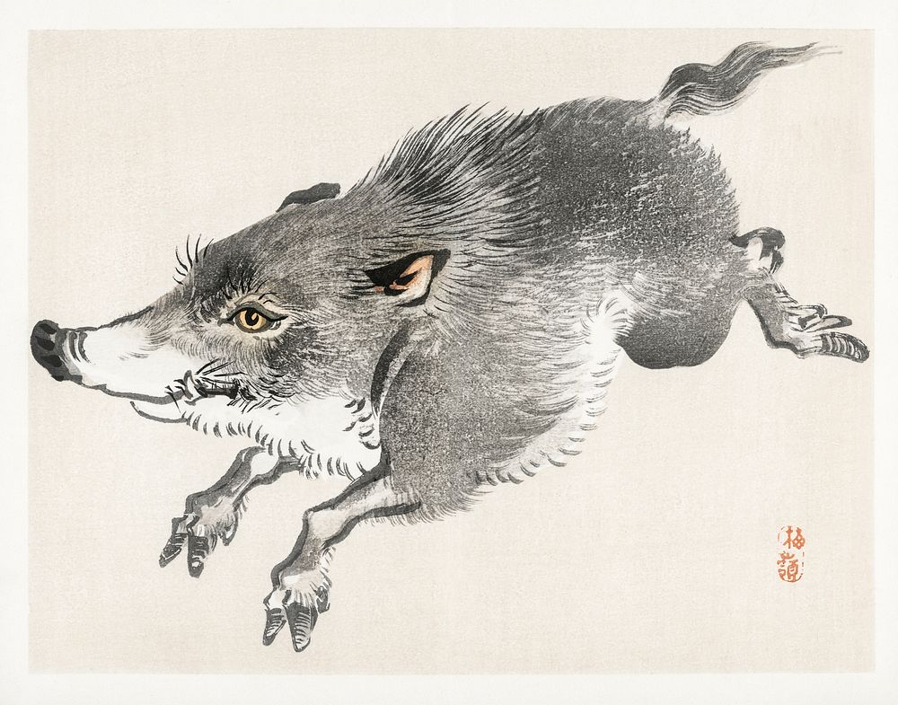 Wild boar by Kōno Bairei (1844-1895). Digitally enhanced from our own original 1913 edition of Barei Gakan.