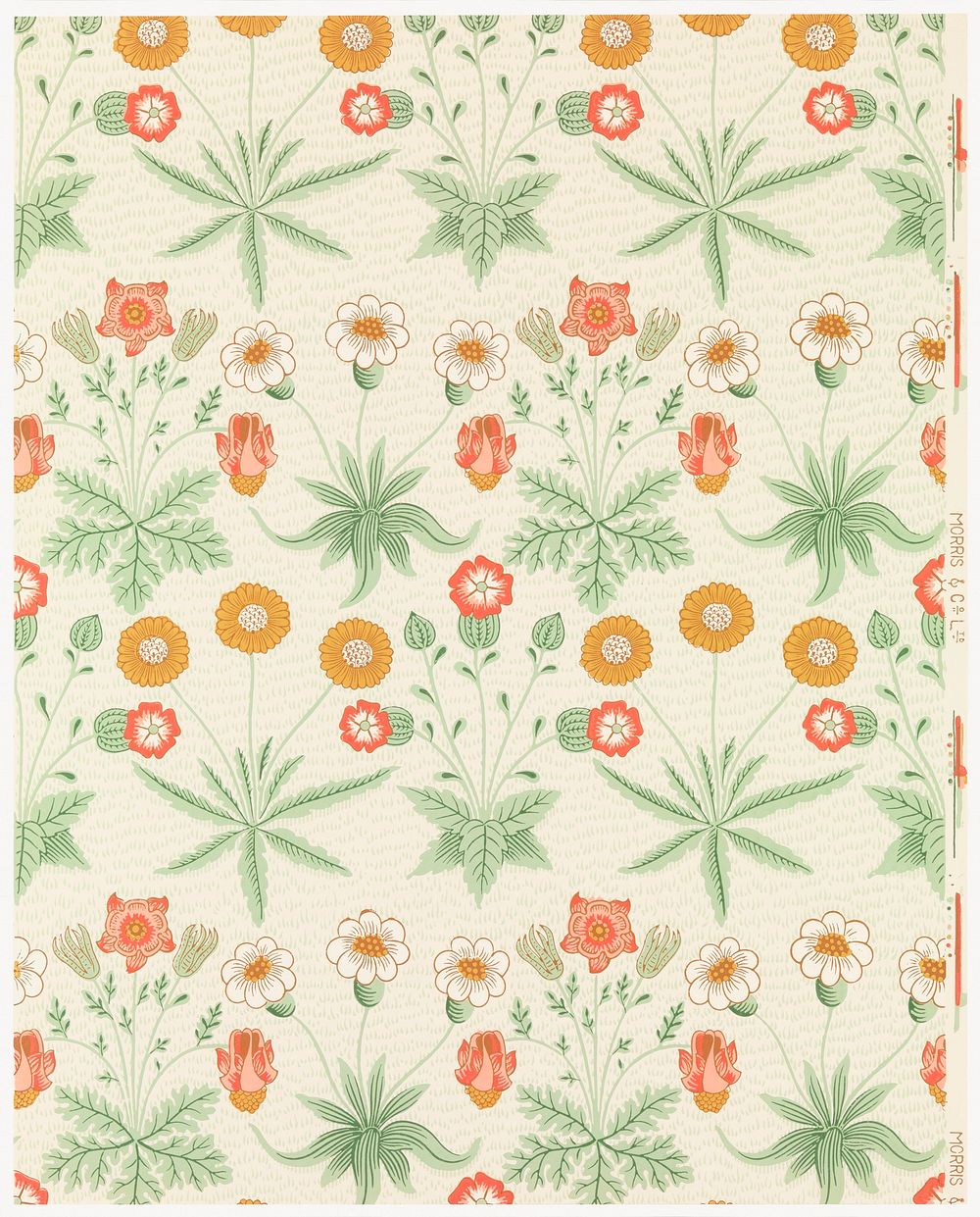 William Morris's (1834-1896) Daisy famous pattern. Original from The MET Museum. Digitally enhanced by rawpixel.