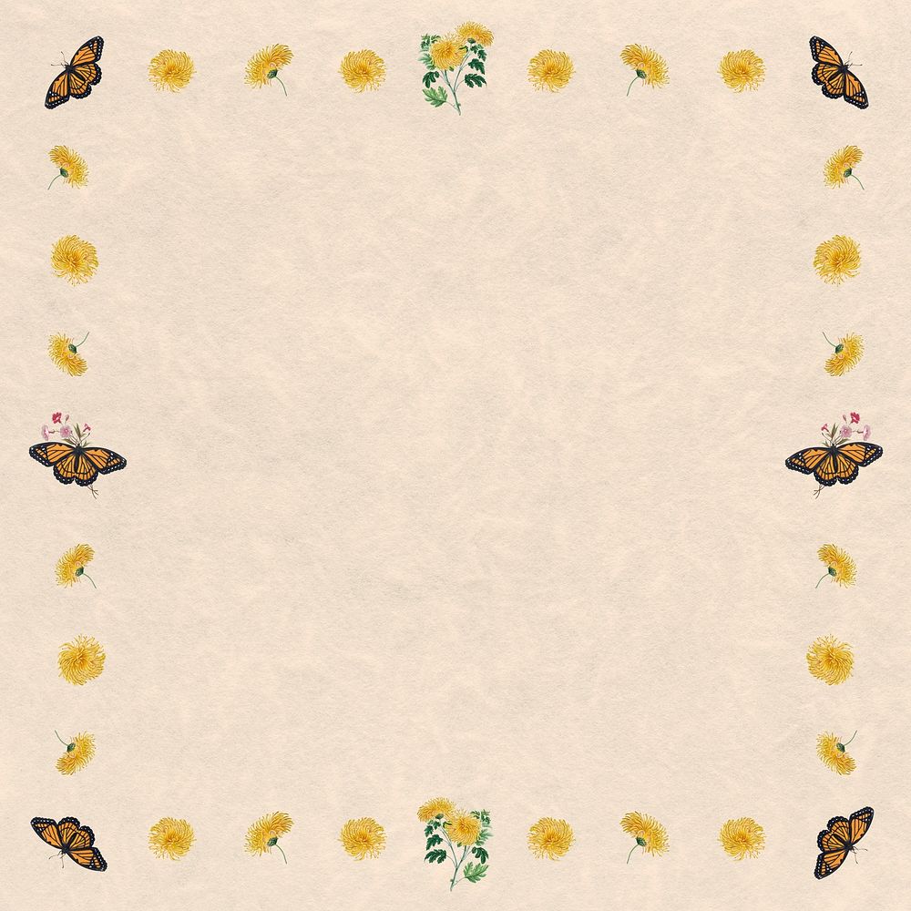 Blooming yellow chrysanthemum and butterfly frame design element