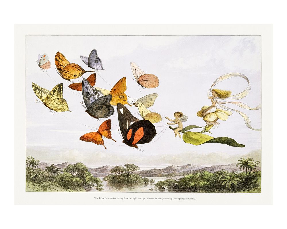The Fairy Queen Takes an Airy Drive in a Light Carriage, a Twelve&ndash;in&ndash;hand, drawn by Thoroughbred Butterflies…