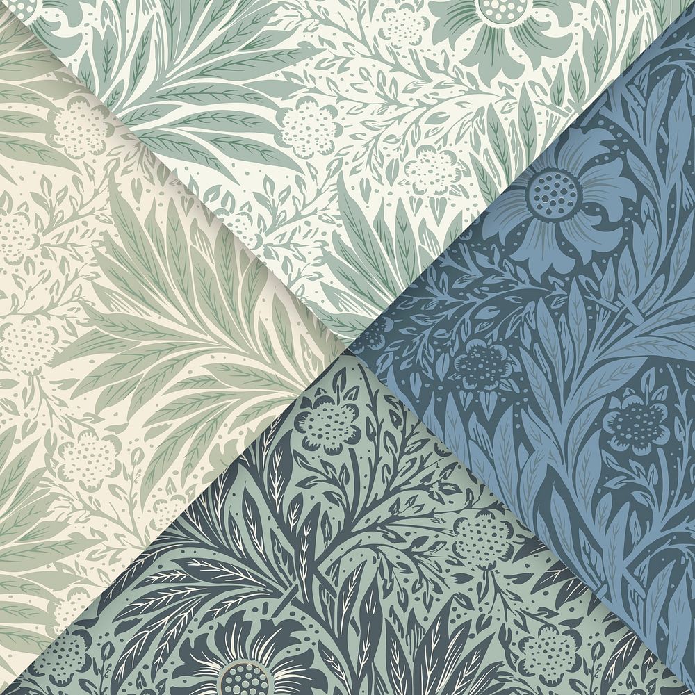 Vintage Illustration of Marigold. | Premium Vector - rawpixel