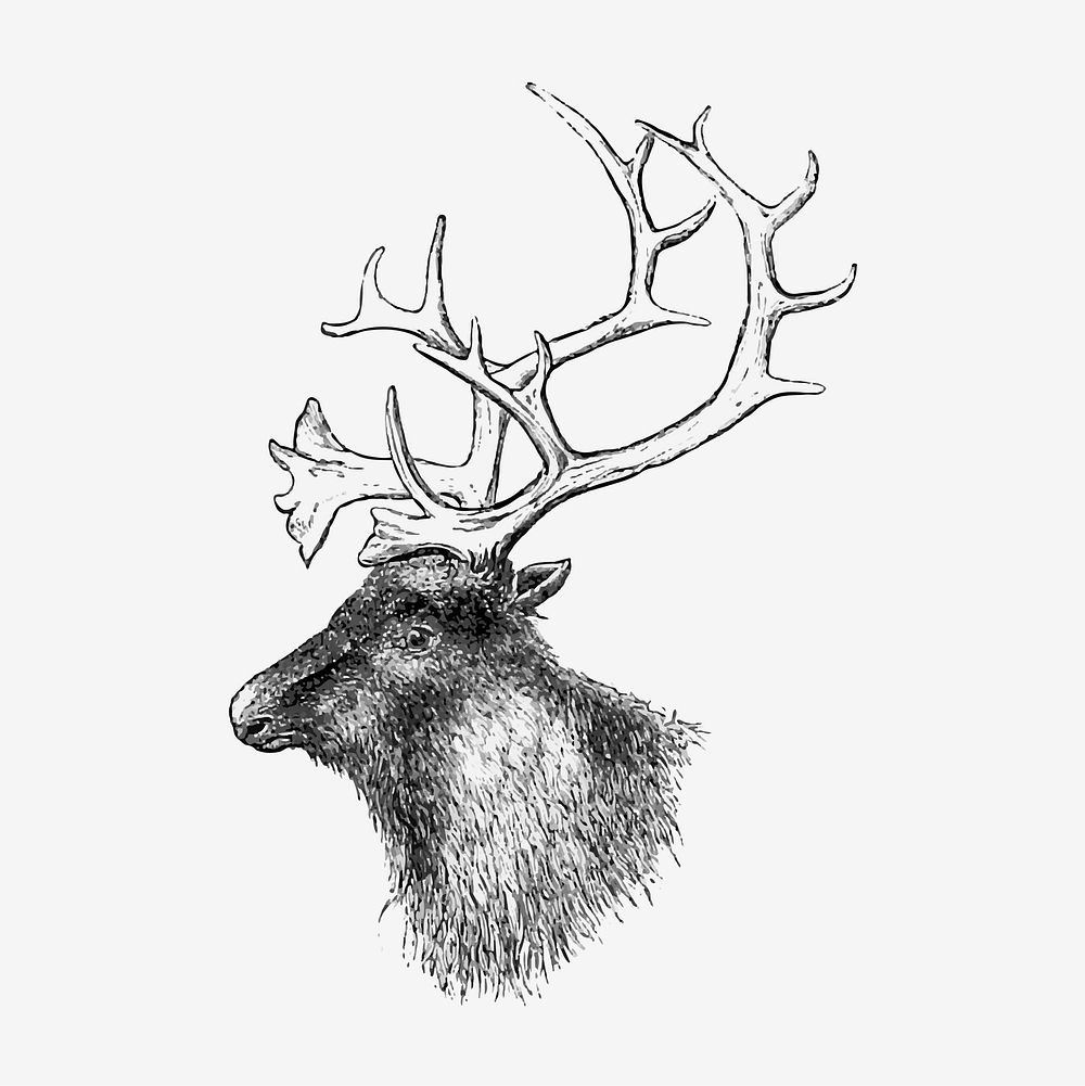 Elk head illustration vector